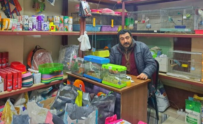 Bakallardan sonra petshoplarda avm kurbanı